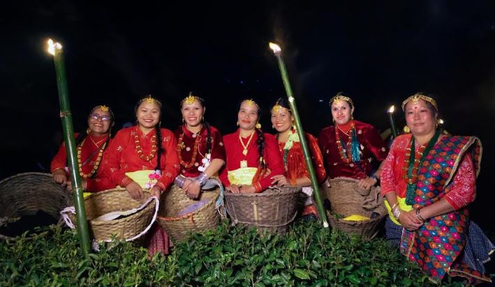 Okayti Tea Estate Completes Magical Moonlight Plucking in Darjeeling