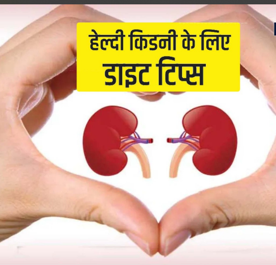 Protect Your Kidneys! Overconsumption of These 4 Nutrients Can Be Harmful