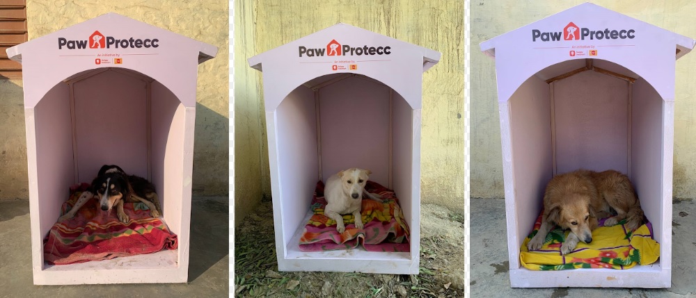 Mars Petcare & Swiggy Instamart Expand Winter Shelters for Dogs