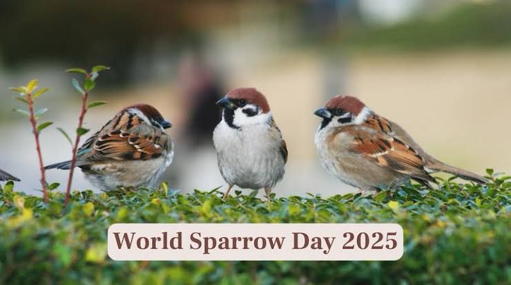 Special Programs Organized by Health Department on World Sparrow Day