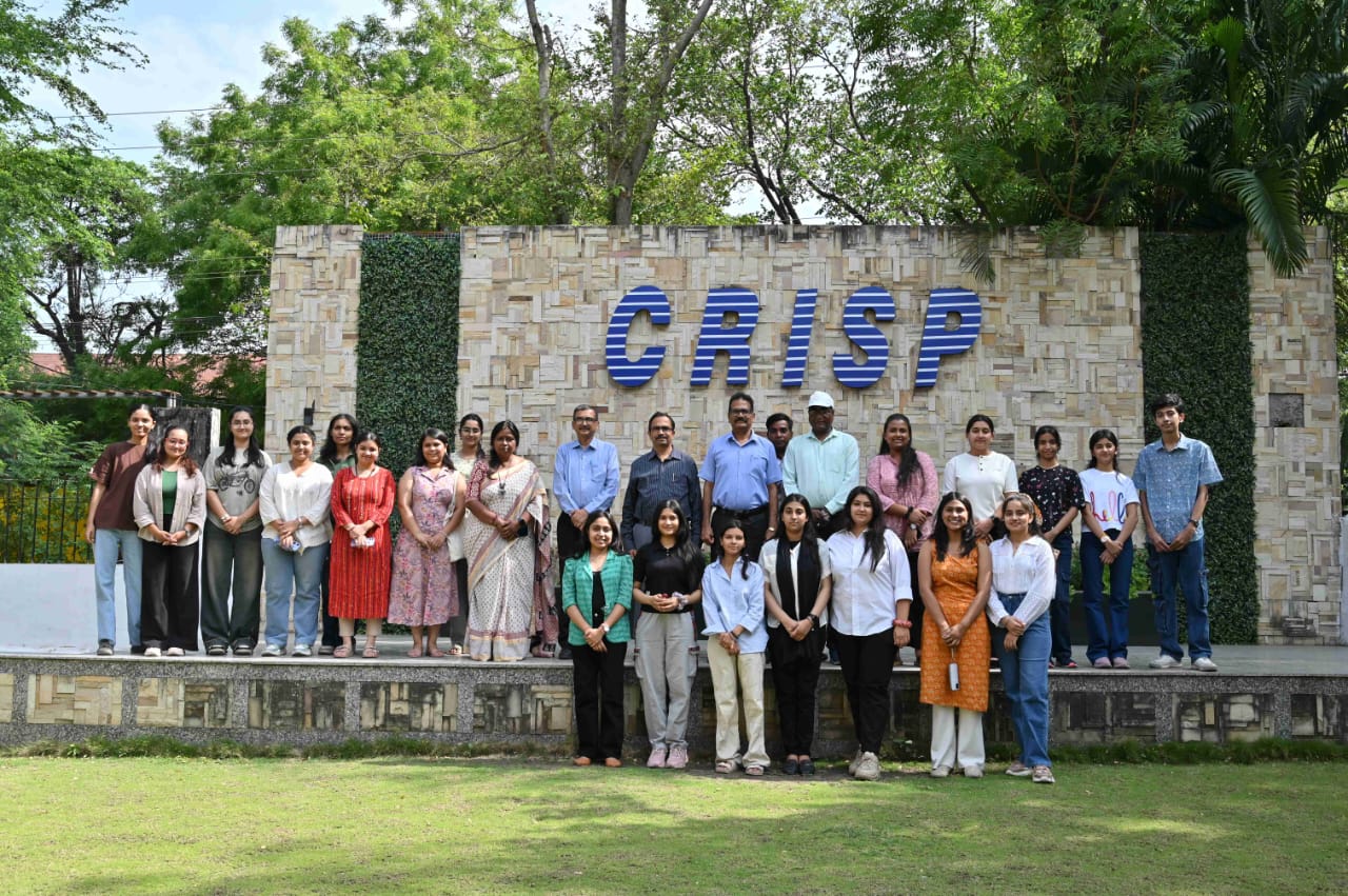 Organization of Wooden Toys Workshop at CRISP