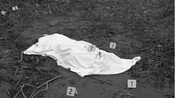 Six Dead in Yamuna Expressway Van Crash