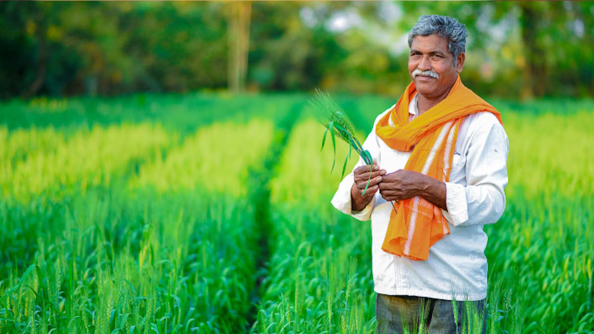 Last Date Announced for Crop Insurance at 2% Premium