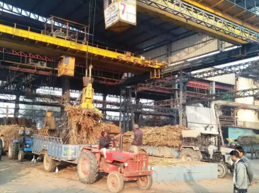 Uttar Pradesh Leads Sugar Production Despite Decline