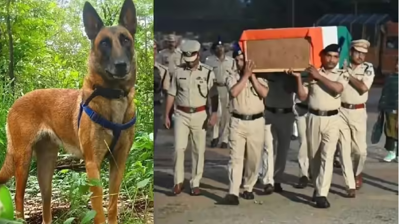CRPF Dog ‘Susan’ Dies During Sukma Anti-Maoist Operation