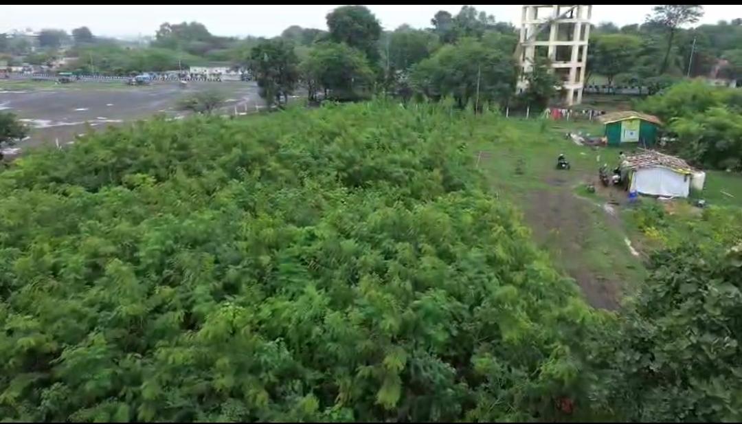 On World Environment Day, SBI Showcases a Unique Green Initiative