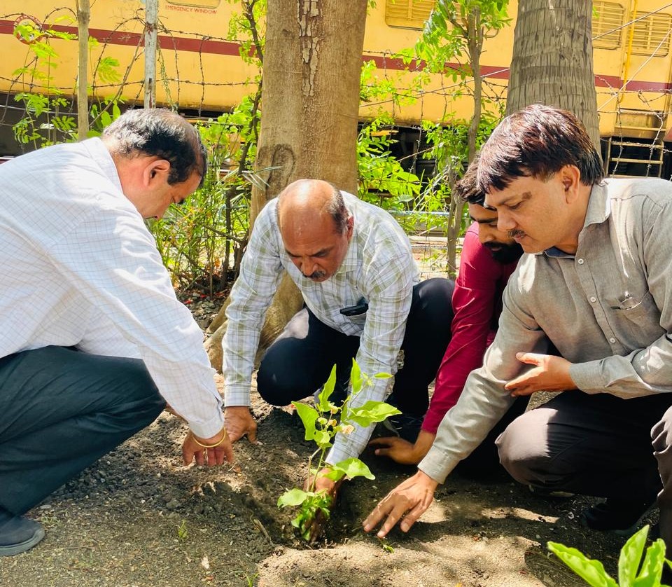 Environmental Awareness and Tree Plantation Programme Held in Bhopal Division
