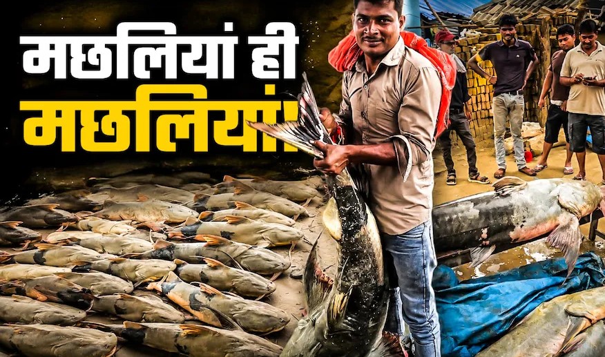 Giant fish reach Bihar as Nepal floods swell Gandak river Giant fish reach Bihar as Nepal floods swell Gandak river