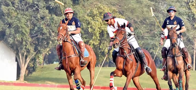 Delhi’s Horseback Sport Searches for Wider Audience Delhi’s Horseback Sport Searches for Wider Audience