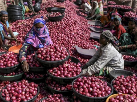 Onion prices rise 82% in three months as supplies shrink Onion prices rise 82% in three months as supplies shrink