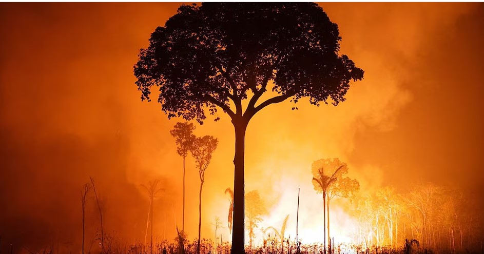1.5°C Warming Could Push Earth’s Natural Systems Beyond Critical Limits 1.5°C Warming Could Push Earth’s Natural Systems Beyond Critical Limits