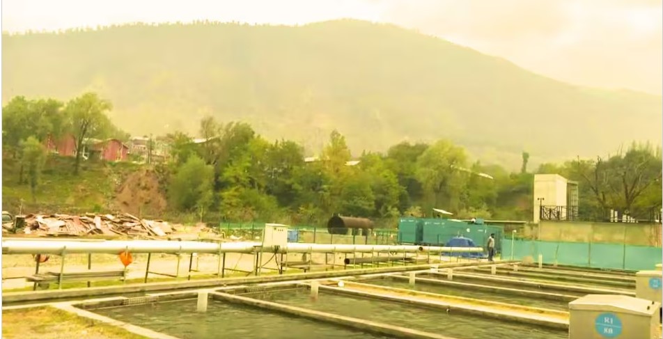 Kashmir trout set to reach markets across India from Ganderbal farm